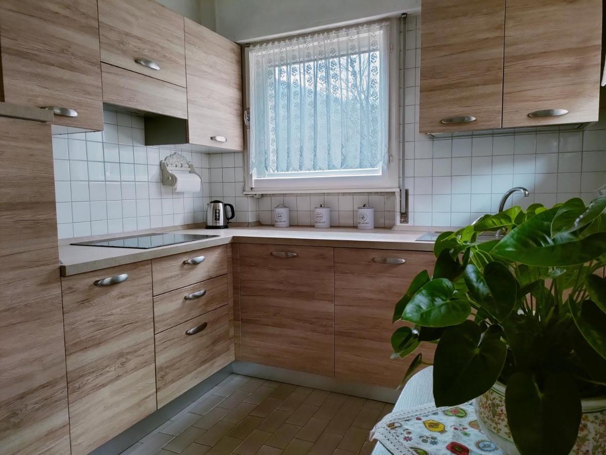 Apartmán Il Terrazzo Sulle Dolomiti Cibiana Exteriér fotografie