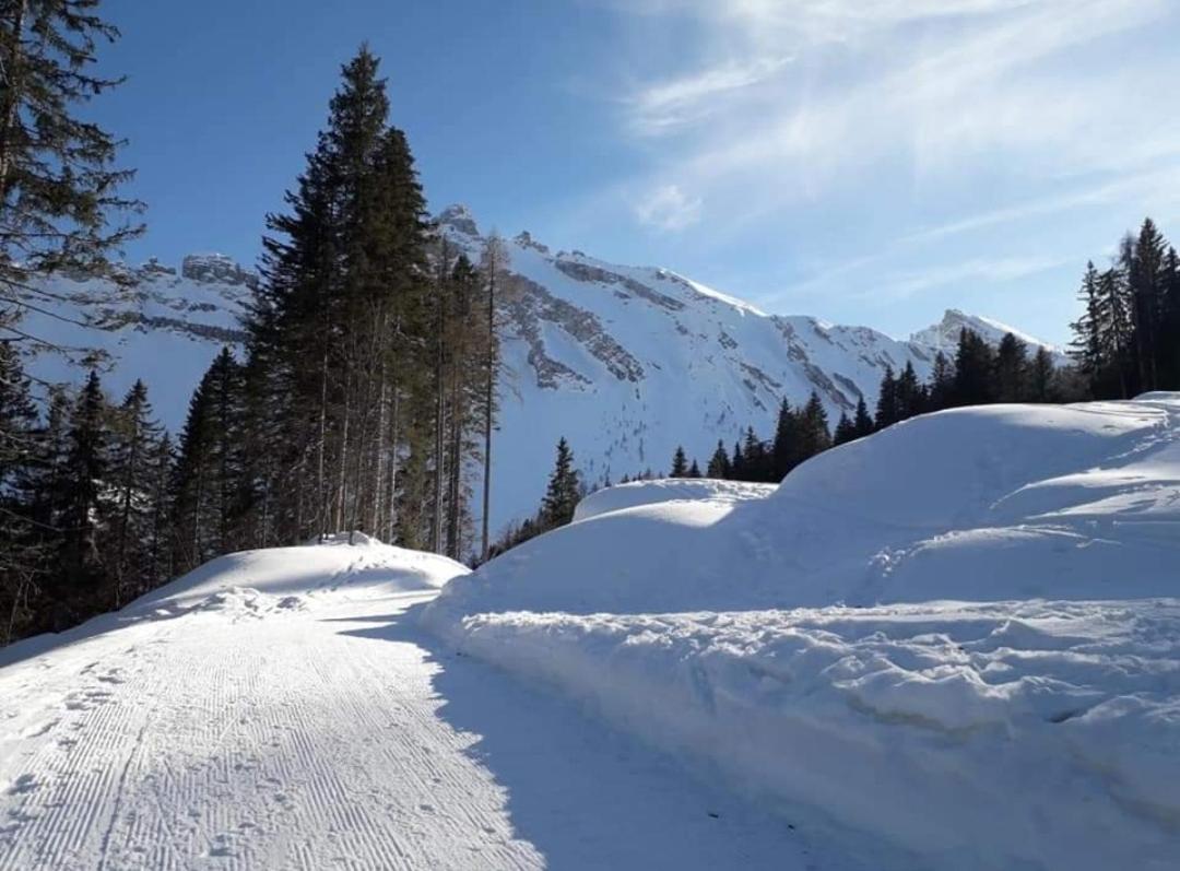 Apartmán Il Terrazzo Sulle Dolomiti Cibiana Exteriér fotografie